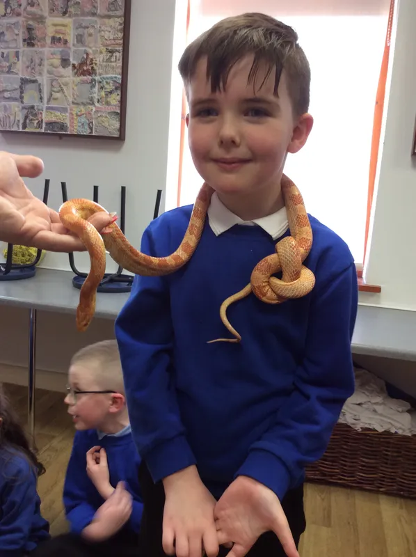 Gallery - created at 2024-02-26 17:15:57 - image 50 Gallery - created at 2024-02-26 17:15:57 - image 50