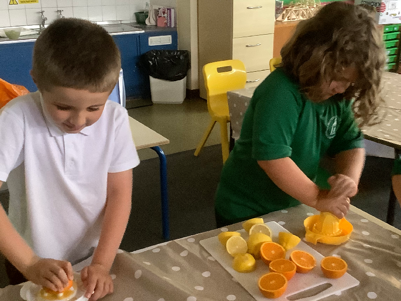 Design and Technology