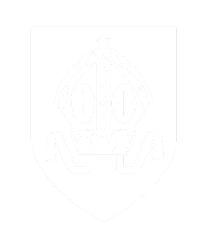 The Cathedral Church of England V/A Primary School - "Flourishing together – rooted in love"    

