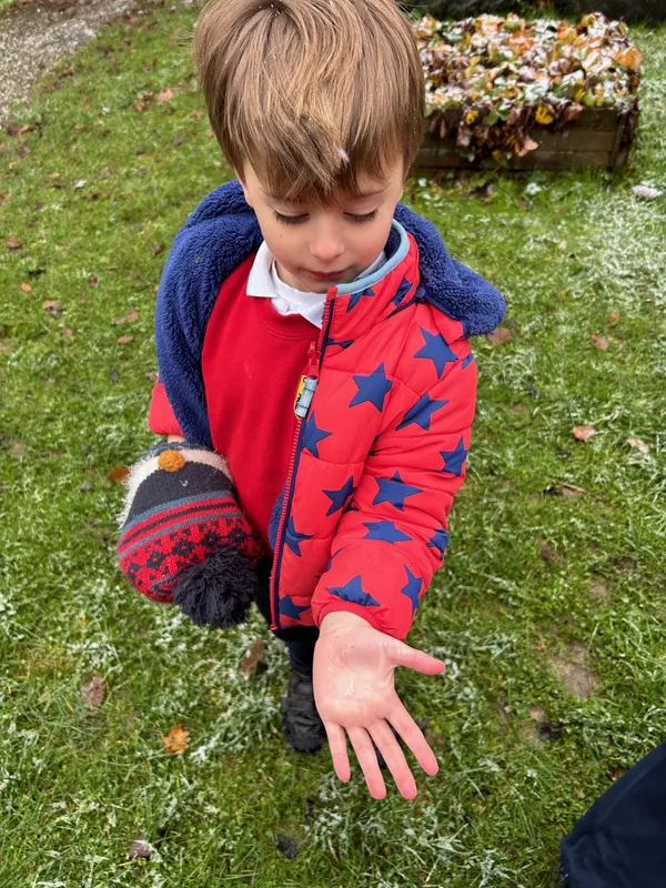 Gallery - created at 2024-11-22 07:00:31 - image 6