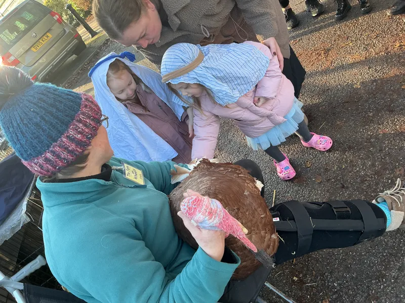 Stella farm on wheels Part 1 - image 10