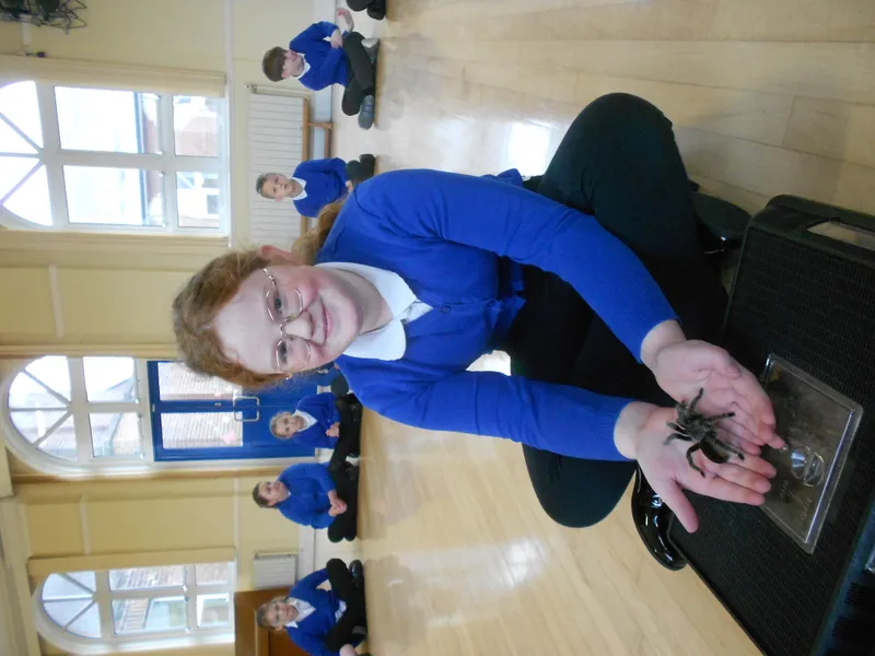 Y6 Reptile Rendezvous - image 69