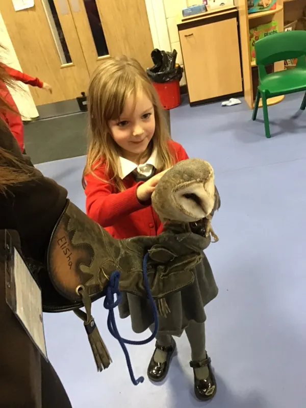birds of prey year 1 25 - image 6 birds of prey year 1 25 - image 6