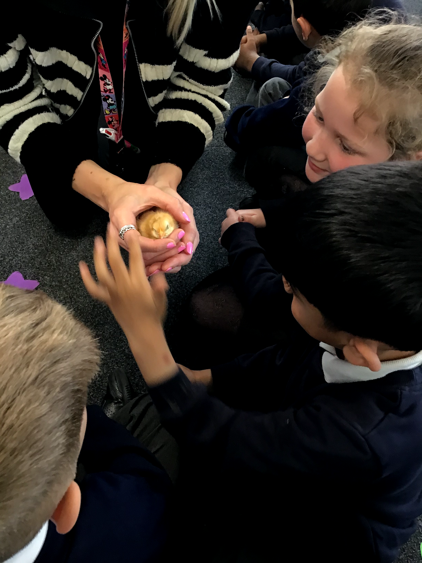 Year 1 Summer 1 Week 2