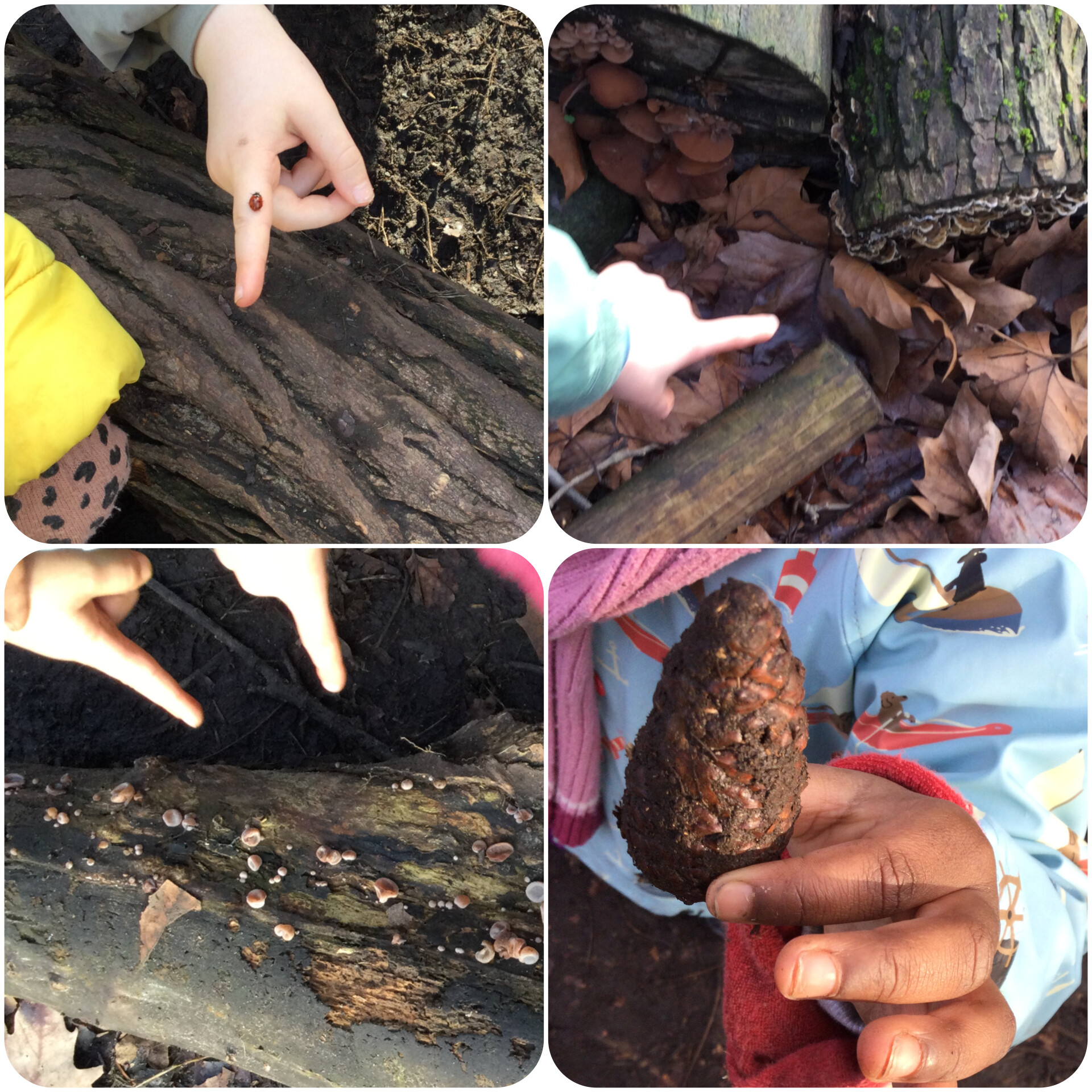 Reception children's curiosity about the world around them.