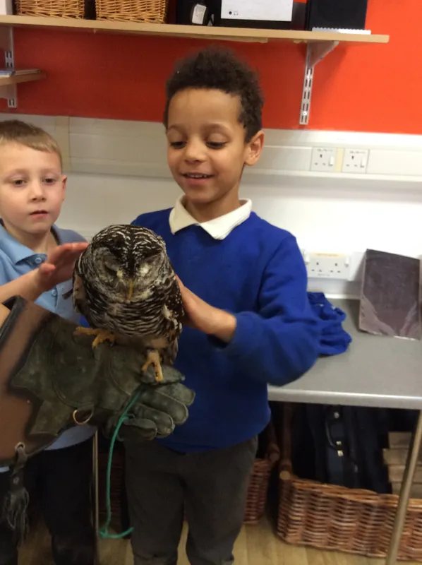 Gallery - created at 2024-02-26 17:15:57 - image 10 Gallery - created at 2024-02-26 17:15:57 - image 10