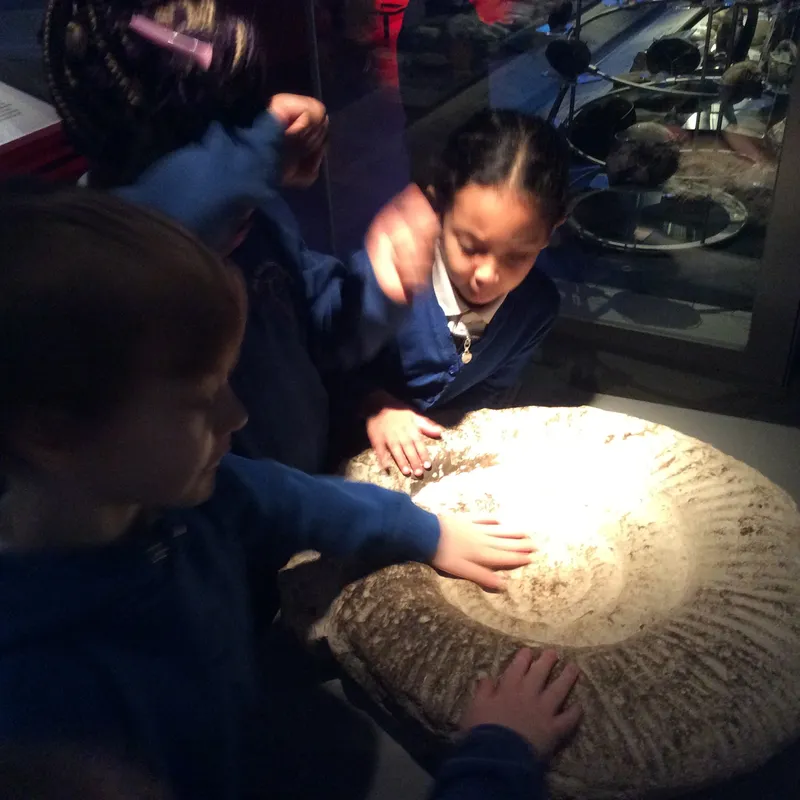 Gallery - created at 2024-02-15 10:35:32 - image 13 Gallery - created at 2024-02-15 10:35:32 - image 13