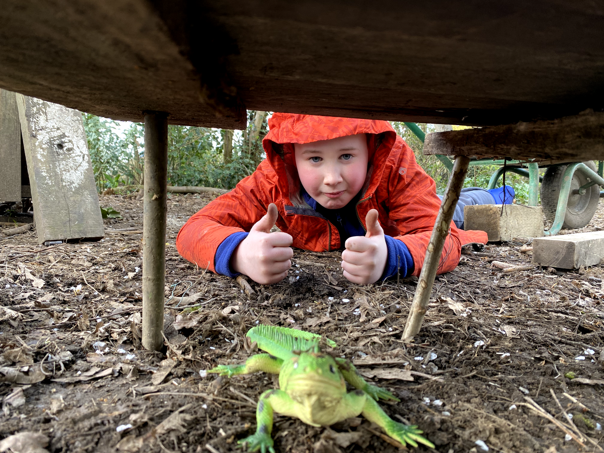 This week in TB - WC 09/03/26