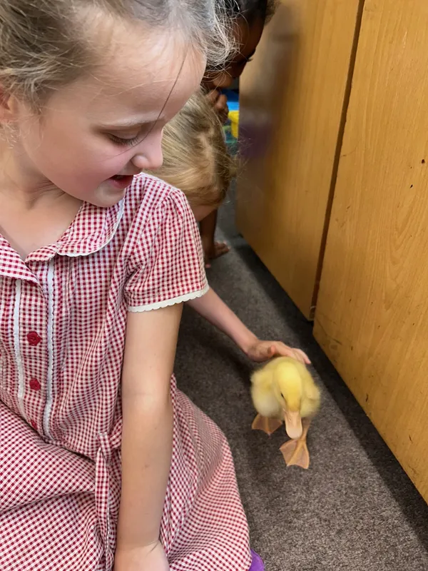 Gallery - created at 2025-06-27 11:32:16 - image 7