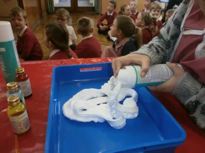 Gallery - created at 2021-03-03 09:04:29 - image 3 Gallery - created at 2021-03-03 09:04:29 - image 3