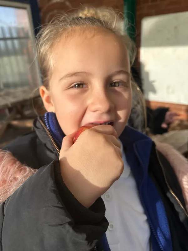 Tesco Fruit & Veg Scheme - image 17 Tesco Fruit & Veg Scheme - image 17