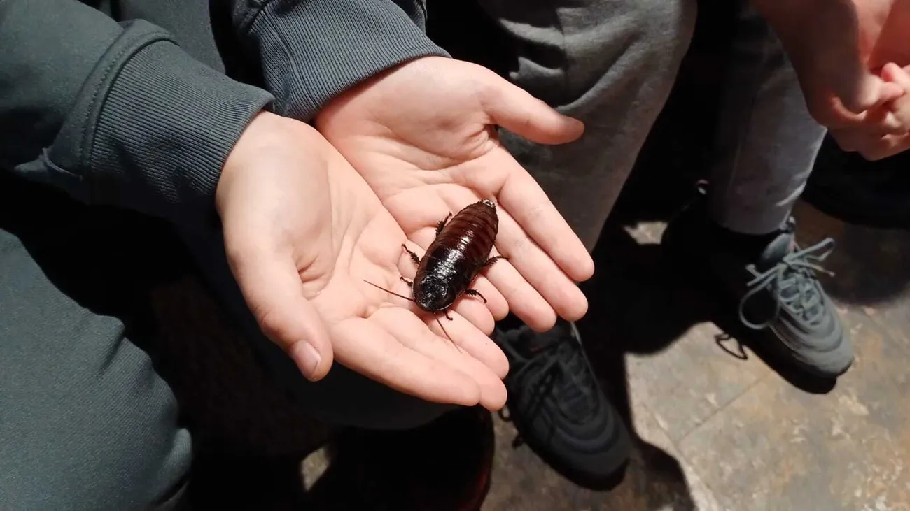 Gallery - created at 2024-06-06 15:03:55 - image 43