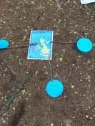 Forest School 128 - image 1 Forest School 128 - image 1