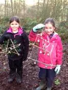 Forest School 159 - image 4 Forest School 159 - image 4