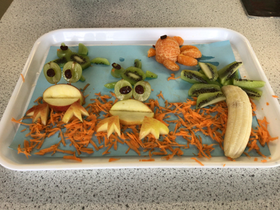 Food & Nutrition