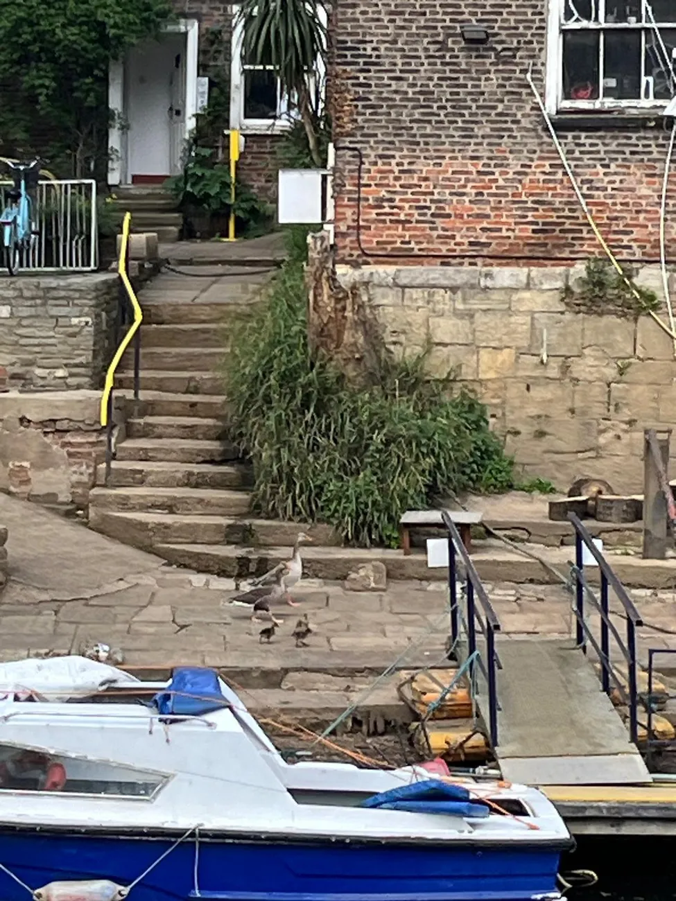 Gallery - created at 2024-06-06 15:11:55 - image 61