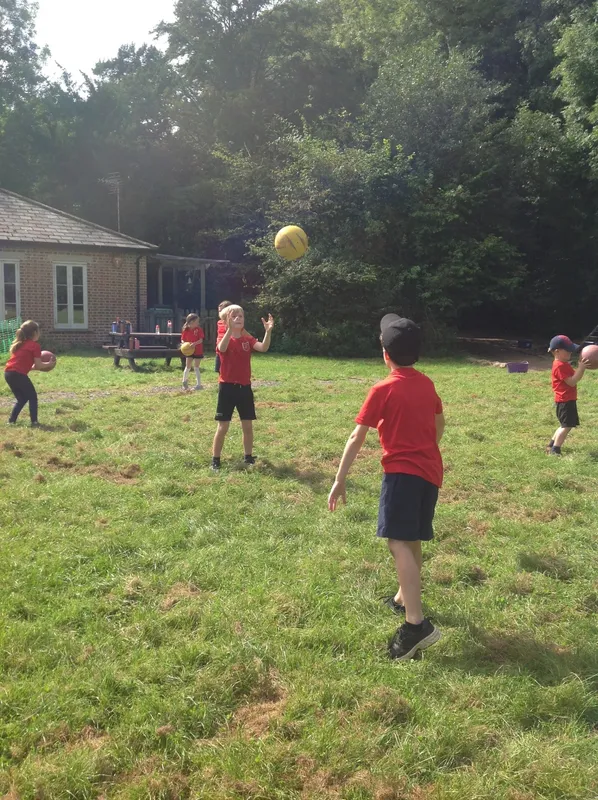 Gallery - created at 2023-09-08 15:01:19 - image 4 Gallery - created at 2023-09-08 15:01:19 - image 4