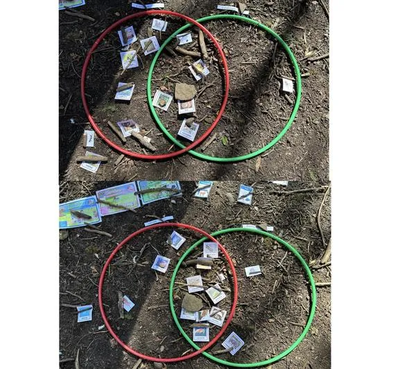 Summer 2023 - April 19th - Saplings - Identifying and Classifying Living Things and Playing the MRSGREN Game - image 2 Summer 2023 - April 19th - Saplings - Identifying and Classifying Living Things and Playing the MRSGREN Game - image 2