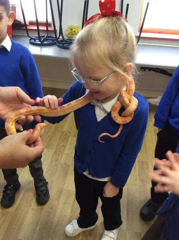 Gallery - created at 2024-02-26 17:15:57 - image 58 Gallery - created at 2024-02-26 17:15:57 - image 58