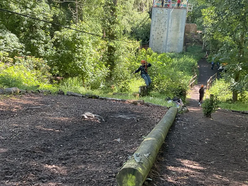 Youlbury 26 - Zipline - image 35