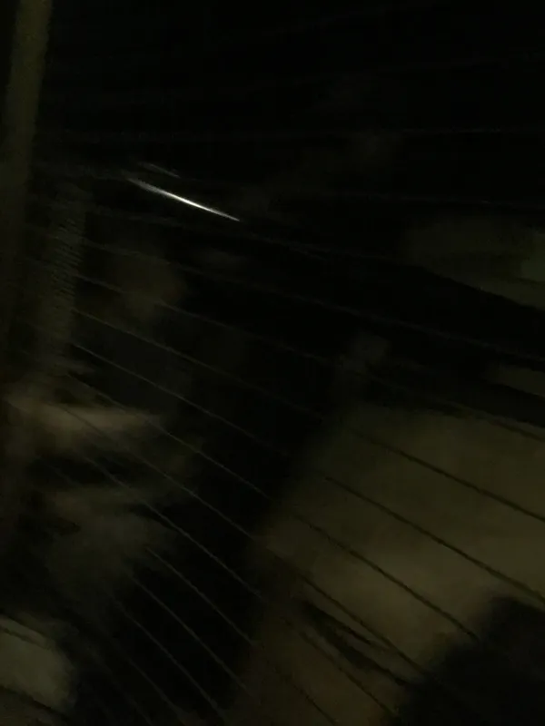 Eden camp 23rd Sept 2025 - image 73