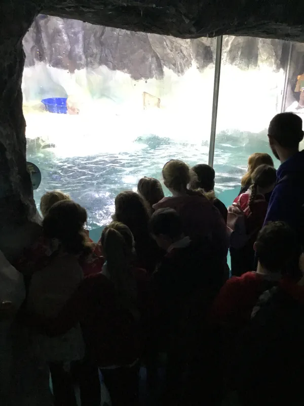 Year 5 Sealife Centre  - image 72