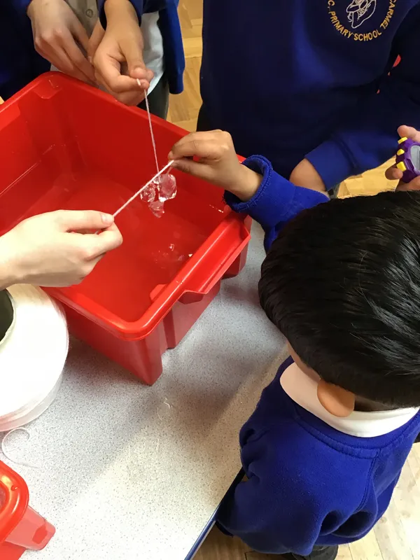 British Science Week - image 14