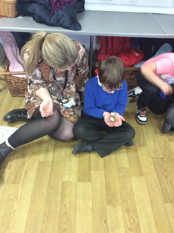 Gallery - created at 2024-03-05 13:52:56 - image 78 Gallery - created at 2024-03-05 13:52:56 - image 78