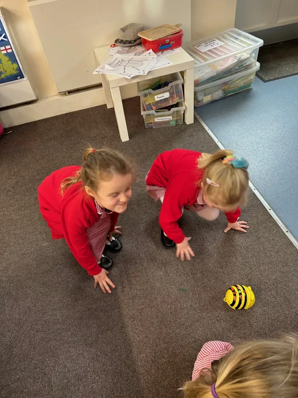 Gallery - created at 2024-05-17 11:35:12 - image 7