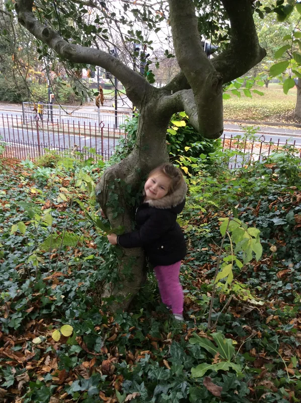 Gallery - created at 2024-11-05 15:27:50 - image 39 Gallery - created at 2024-11-05 15:27:50 - image 39