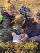 Forest School 26 - image 8 Forest School 26 - image 8