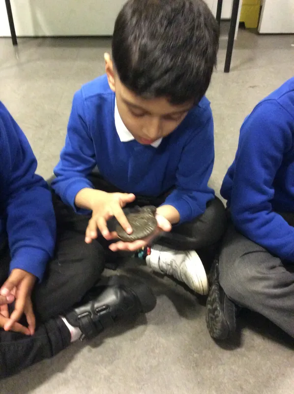 Gallery - created at 2024-02-15 10:35:32 - image 5 Gallery - created at 2024-02-15 10:35:32 - image 5