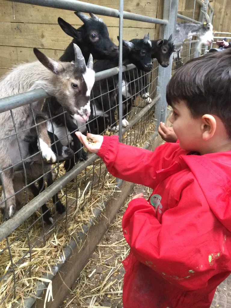 Smithills Farm - image 5