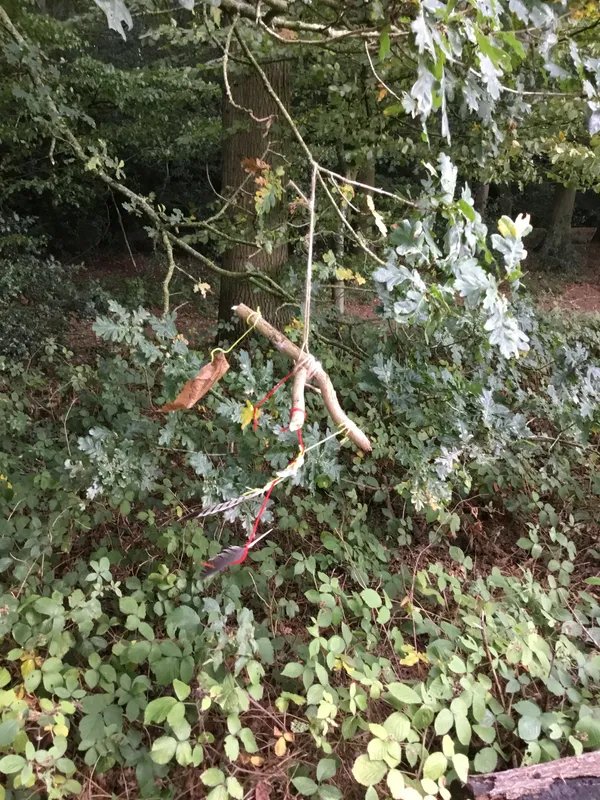 Gallery - created at 2022-10-03 16:37:54 - image 5