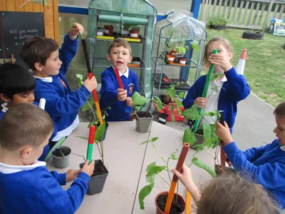 Giant Beanstalks - image 28