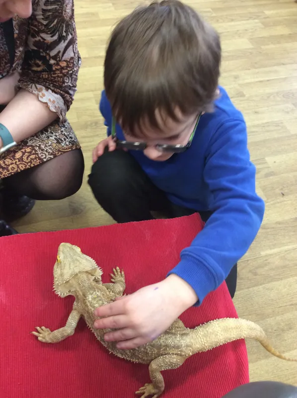 Gallery - created at 2024-03-05 13:52:56 - image 19 Gallery - created at 2024-03-05 13:52:56 - image 19