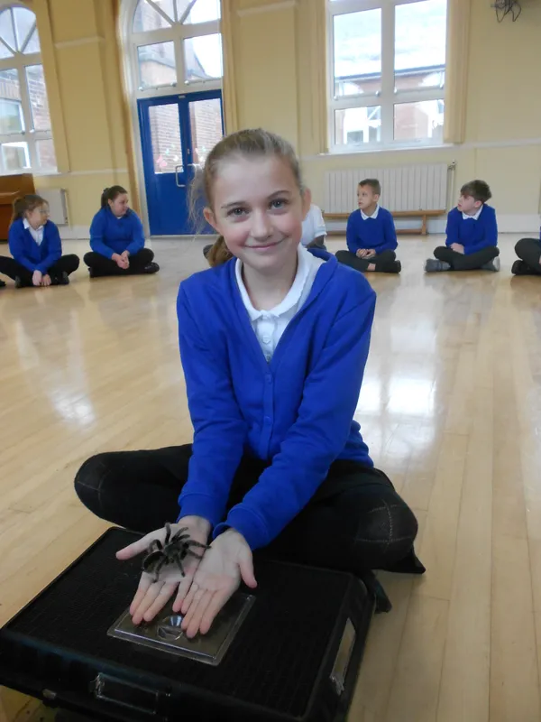 Y6 Reptile Rendezvous - image 75