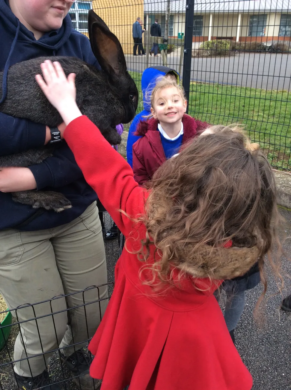 Gallery - created at 2023-03-03 16:33:51 - image 14