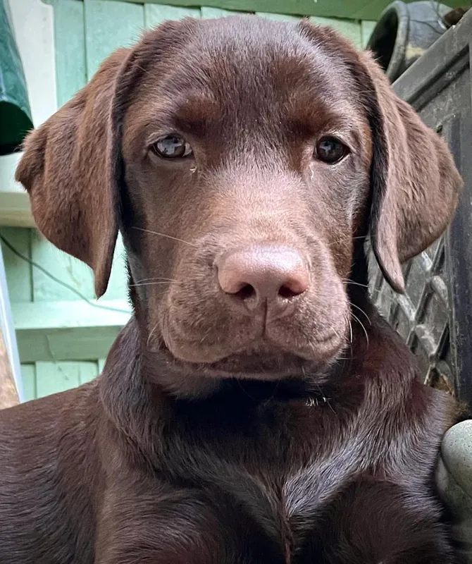 Gallery - created at 2021-06-30 13:57:57 - image 26