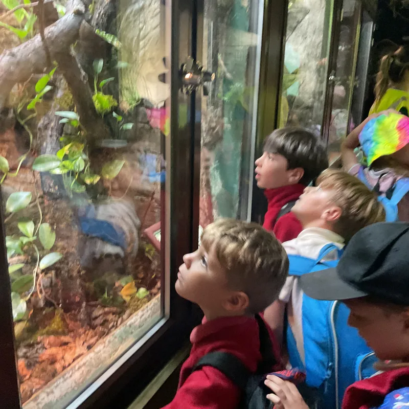 Year 1 trip to Cotswold Wildlife Park - image 5 Year 1 trip to Cotswold Wildlife Park - image 5