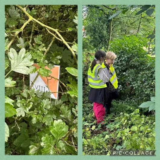 Summer 2024 - 3rd July - Oaks - Orienteering (Roman Numerals), Woodland Perfumes and Forest Games - image 3 Summer 2024 - 3rd July - Oaks - Orienteering (Roman Numerals), Woodland Perfumes and Forest Games - image 3