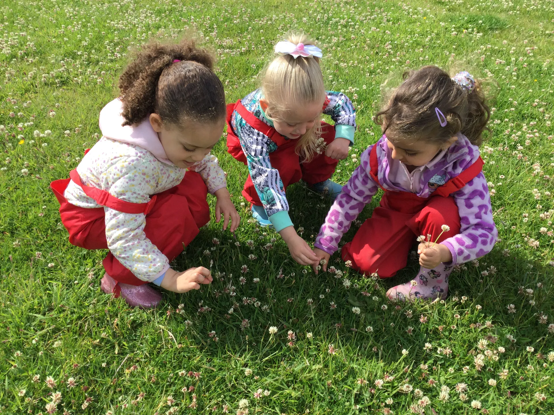 Rafted Canoeing - image 6