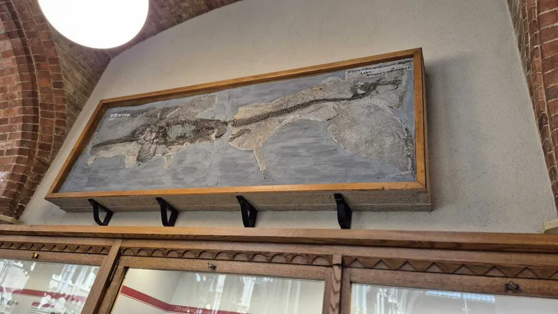 Gallery - created at 2025-05-15 20:19:39 - image 27