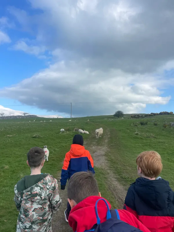 Gallery - created at 2023-05-02 18:29:02 - image 4