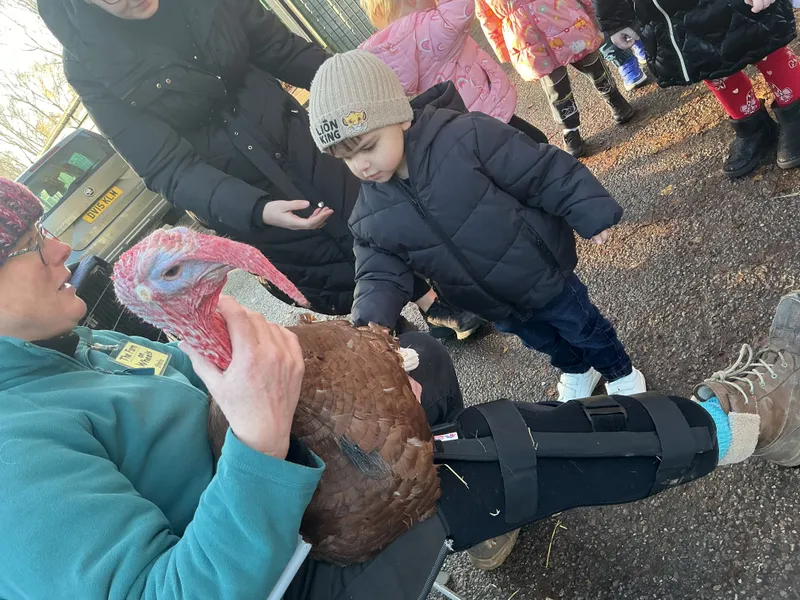 Stella farm on wheels Part 1 - image 21