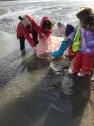 Forest School 109 - image 3 Forest School 109 - image 3