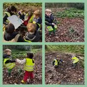 Forest School 13 - image 2 Forest School 13 - image 2