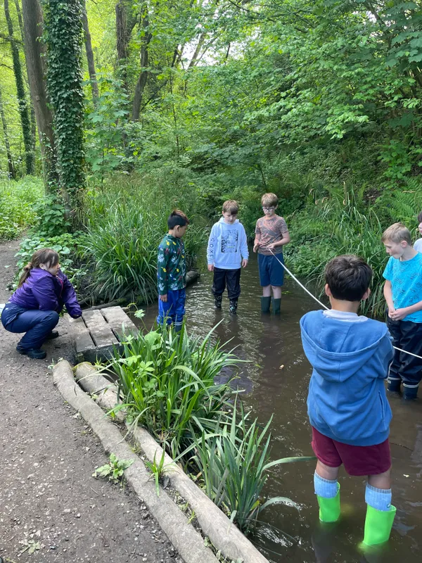 Drews Pond Woods - image 32