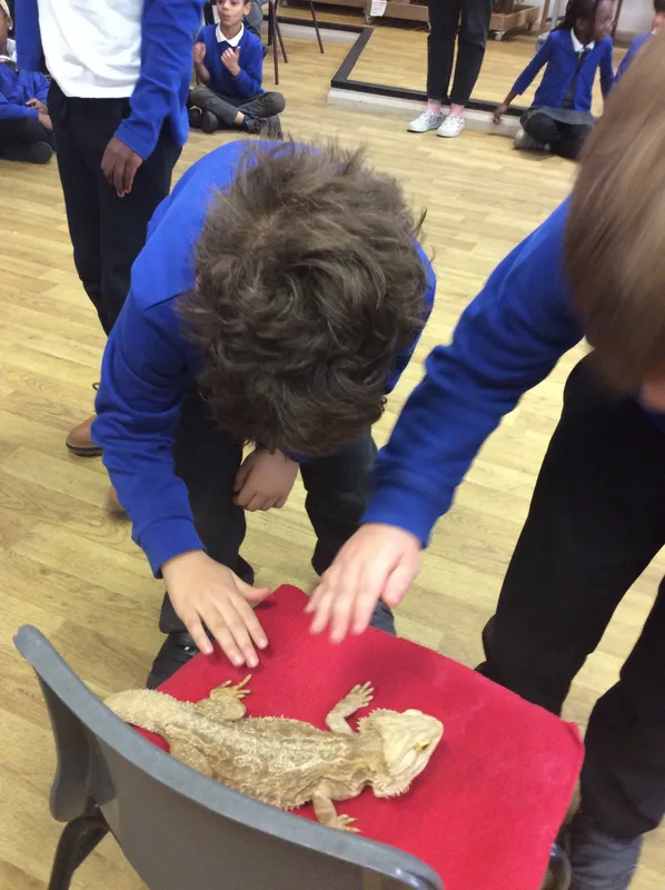 Gallery - created at 2024-03-05 13:52:56 - image 27 Gallery - created at 2024-03-05 13:52:56 - image 27