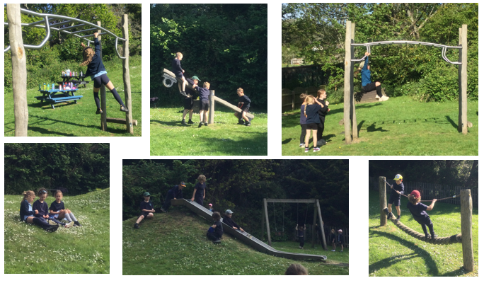 Having fun at the park